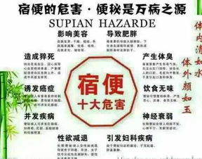 解析隨便果產(chǎn)業(yè)鏈 從深圳工廠到代理模式的全景透視